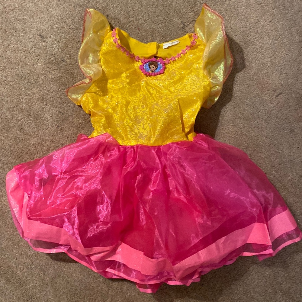 Fancy Nancy Dress Costume size 4-6